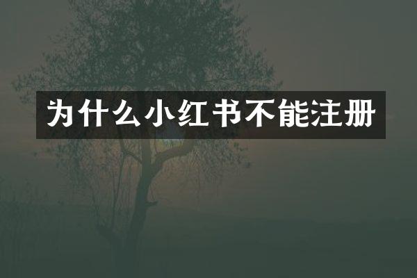 为什么小红书不能注册