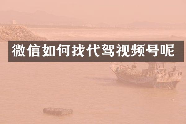 微信如何找代驾视频号呢