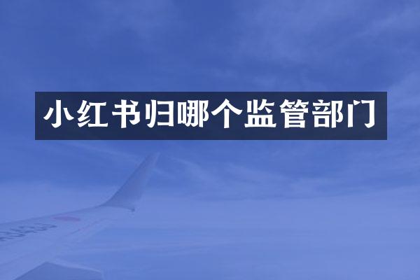 小红书归哪个监管部门
