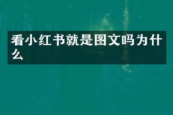 看小红书就是图文吗为什么