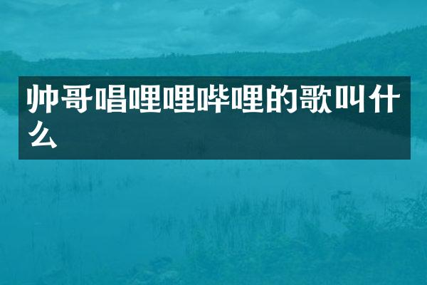 帅哥唱哩哩哔哩的歌叫什么