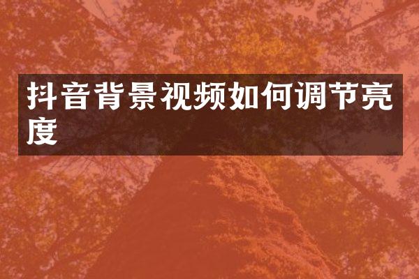 抖音背景视频如何调节亮度