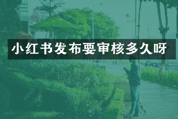 小红书发布要审核多久呀