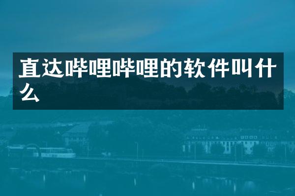 直达哔哩哔哩的软件叫什么
