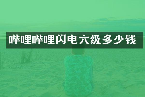 哔哩哔哩闪电六级多少钱