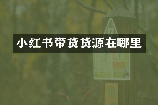 小红书带货货源在哪里