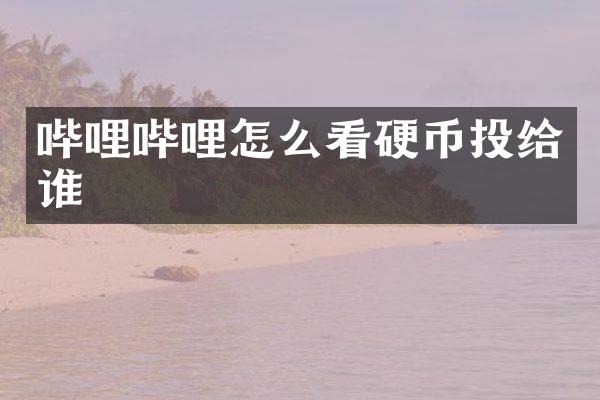 哔哩哔哩怎么看硬币投给谁