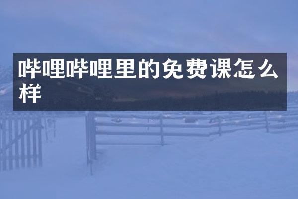 哔哩哔哩里的免费课怎么样