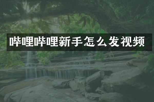 哔哩哔哩新手怎么发视频