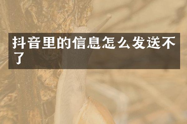 抖音里的信息怎么发送不了