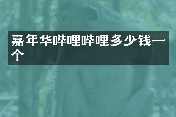 嘉年华哔哩哔哩多少钱一个