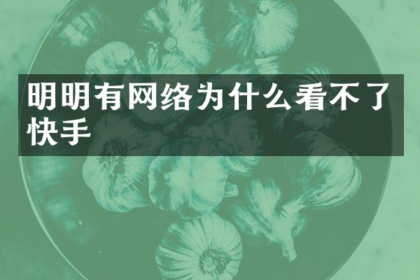明明有网络为什么看不了快手