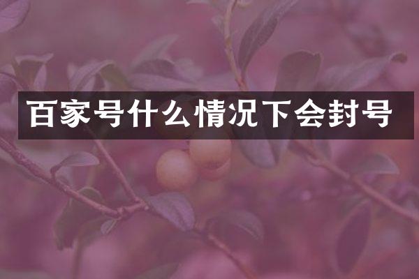 百家号什么情况下会封号