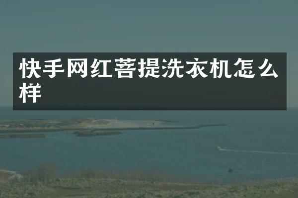 快手网红菩提洗衣机怎么样