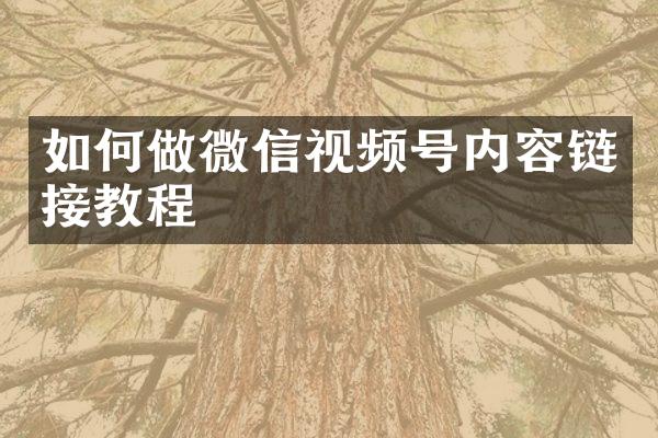 如何做微信视频号内容链接教程