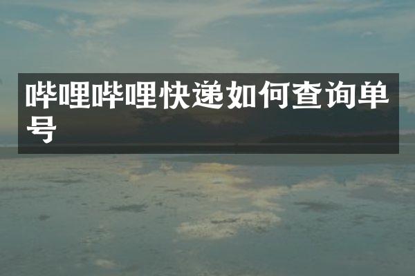 哔哩哔哩快递如何查询单号
