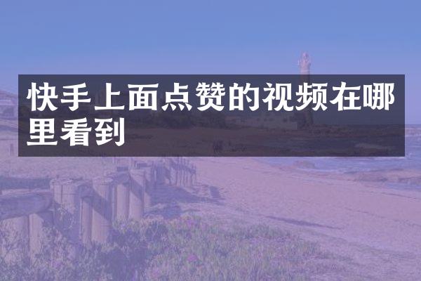 快手上面点赞的视频在哪里看到