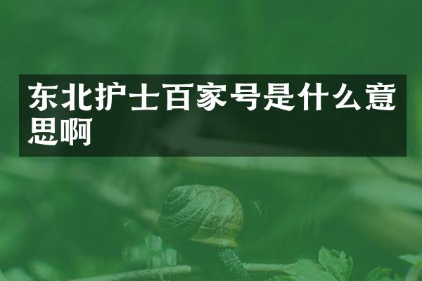 东北护士百家号是什么意思啊