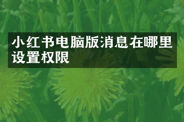 小红书电脑版消息在哪里设置权限