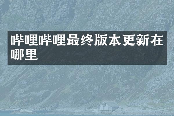 哔哩哔哩最终版本更新在哪里