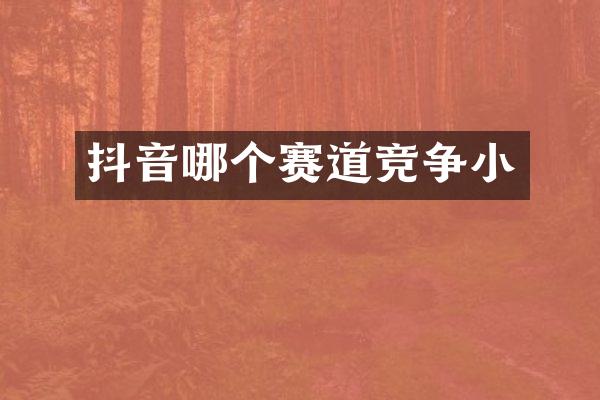 抖音哪个赛道竞争小