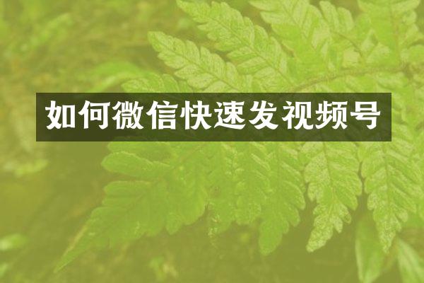 如何微信快速发视频号