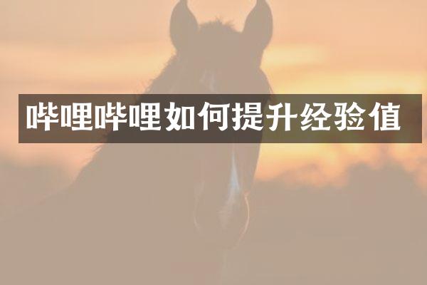 哔哩哔哩如何提升经验值