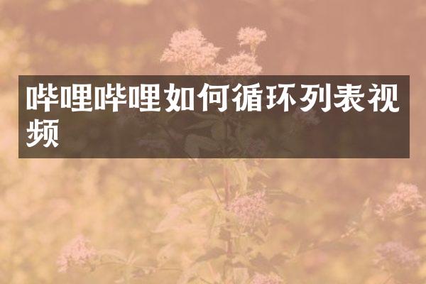 哔哩哔哩如何循环列表视频
