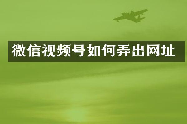 微信视频号如何弄出网址