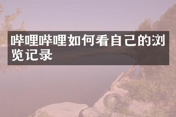 哔哩哔哩如何看自己的浏览记录