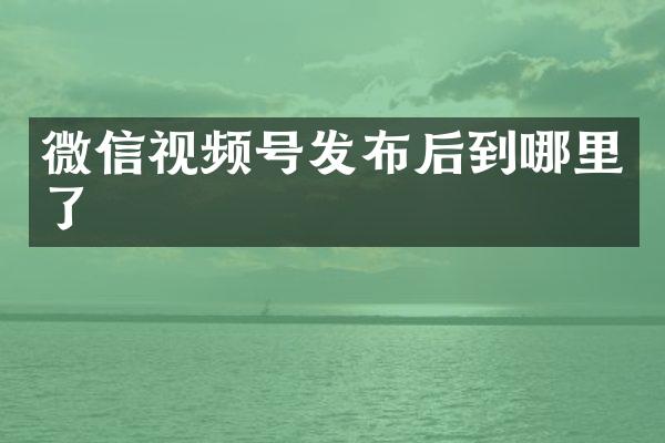 微信视频号发布后到哪里了
