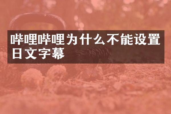 哔哩哔哩为什么不能设置日文字幕