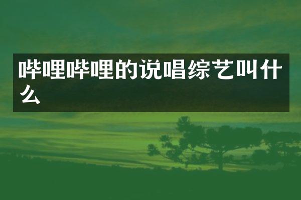 哔哩哔哩的说唱综艺叫什么