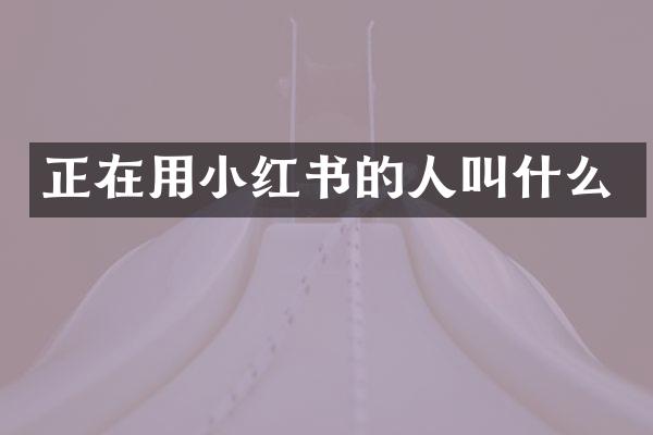 正在用小红书的人叫什么