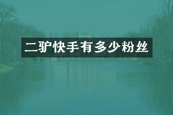 二驴快手有多少粉丝