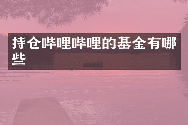持仓哔哩哔哩的基金有哪些
