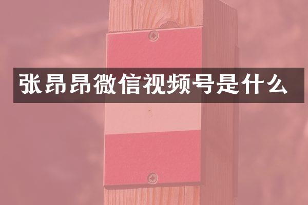 张昂昂微信视频号是什么