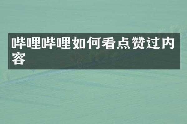 哔哩哔哩如何看点赞过内容