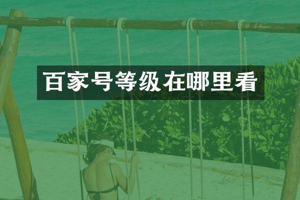 百家号等级在哪里看