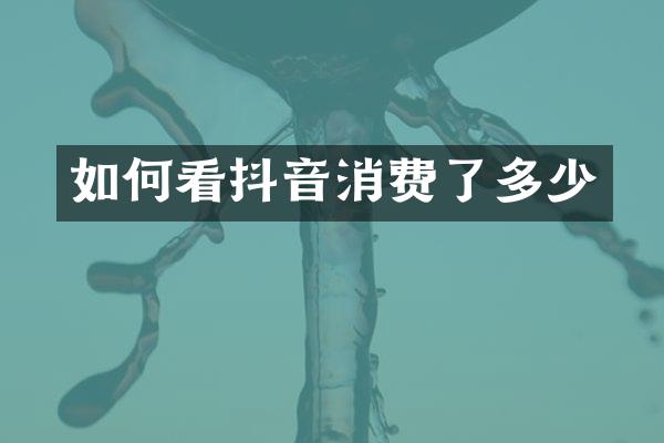 如何看抖音消费了多少