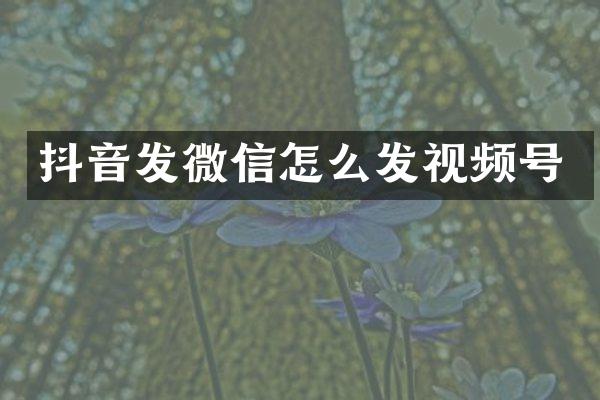 抖音发微信怎么发视频号
