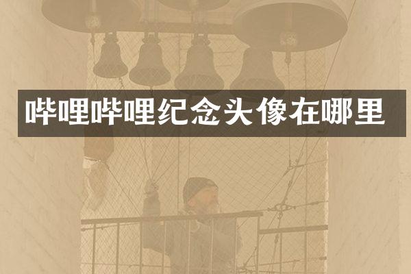 哔哩哔哩纪念头像在哪里