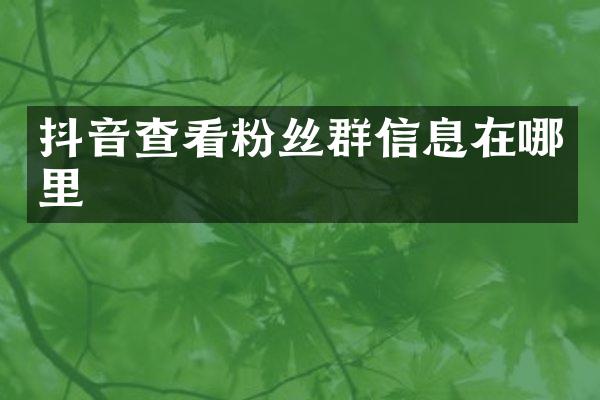 抖音查看粉丝群信息在哪里