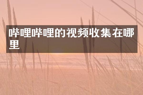哔哩哔哩的视频收集在哪里