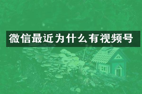 微信最近为什么有视频号