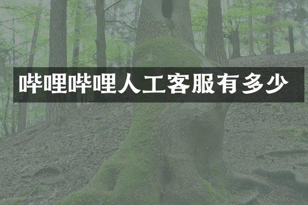 哔哩哔哩人工客服有多少