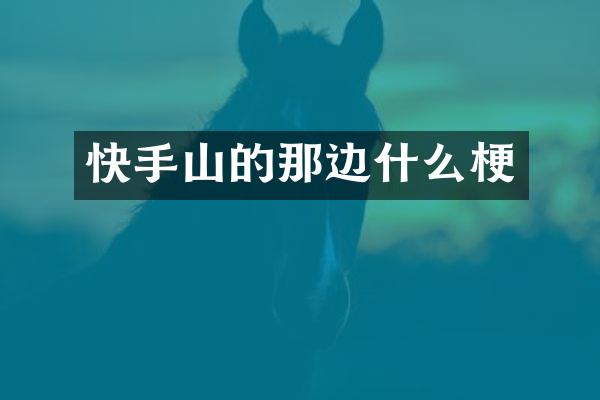 快手山的那边什么梗