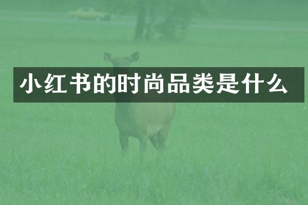 小红书的时尚品类是什么