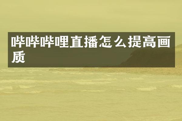 哔哔哔哩直播怎么提高画质