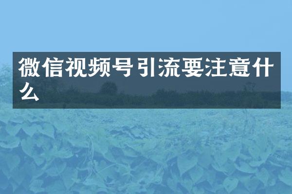 微信视频号引流要注意什么
